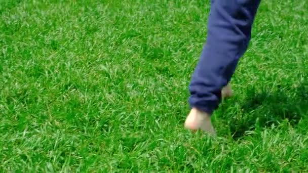 Çimlerin Üzerinde Çıplak Ayakla Koşan Bir Anaokulu Ilkokul Çocuğunun Bacakları — Stok video