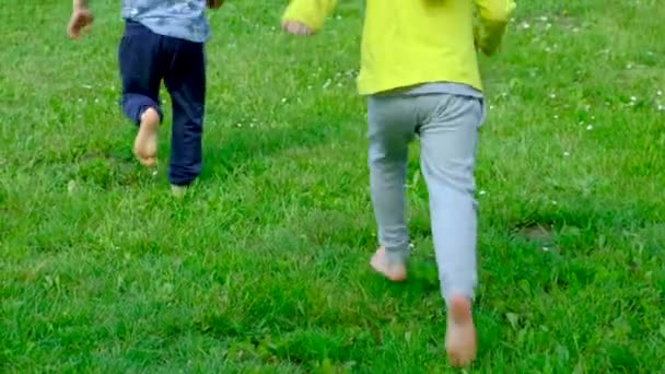 Liten Pojke Och Flicka Springer Barfota Gräset Begreppet Barnvänskap Och — Stockvideo