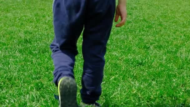 Dziecko Nogi Zbliżenie Chodzenie Zielonej Trawie Wiosnę — Wideo stockowe
