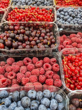 Çeşitli yaz meyveleri - ahududu, kırmızı frenk üzümü, bektaşi üzümü ve yabanmersini.