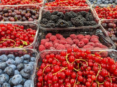 Çeşitli yaz meyveleri - ahududu, böğürtlen, kırmızı frenk üzümü, Bektaşi üzümü ve yabanmersini.