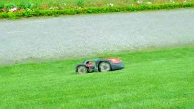 Robot otomatikman çim biçme makinesi çimleri biçer