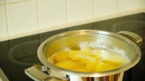 Μαγείρεμα Πουρέ Πατάτας Βράσιμο Αποφλοιωμένες Πατάτες Στο Νερό Μια Κατσαρόλα — Αρχείο Βίντεο