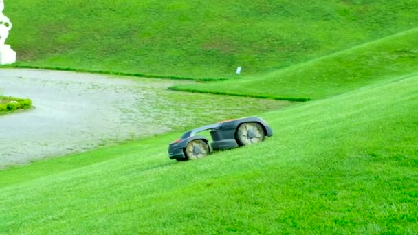 机械人自动割草机割草 — 图库视频影像