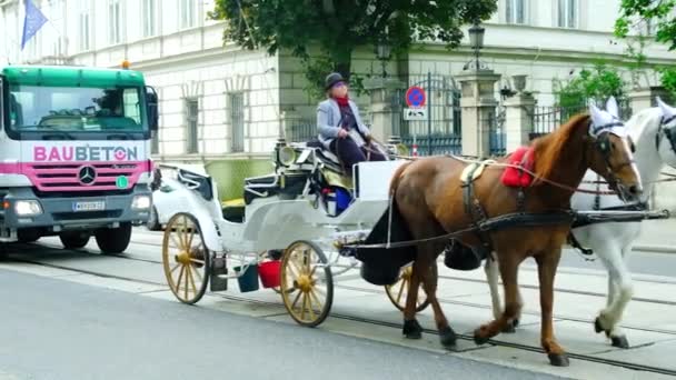馬との戦車による交通渋滞 2023年8月4日 オーストリア ウィーン — ストック動画