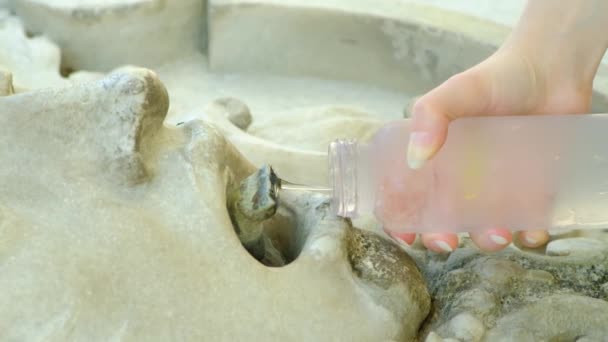 Ένα Κορίτσι Ρίχνει Νερό Ένα Μπουκάλι Από Ένα Σιντριβάνι Μορφή — Αρχείο Βίντεο