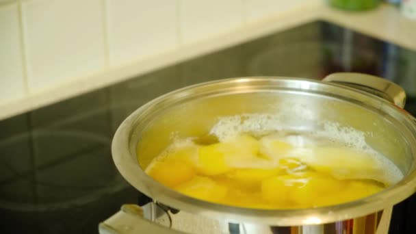 Matlagning Potatismos Kokande Skalad Potatis Vatten Kastrull — Stockvideo