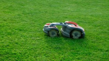 Robot otomatikman çim biçme makinesi çimleri biçer