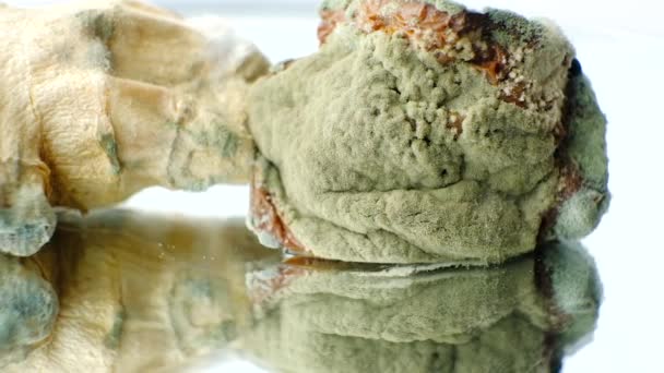 在白色背景上的食物宏观上做模子 陈腐产品的危险 — 图库视频影像
