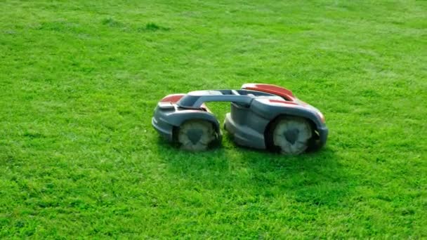 Robot Otomatikman Çim Biçme Makinesi Çimleri Biçer — Stok video