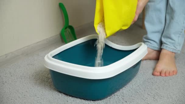 女性は猫のトイレにベントナイトクランピング粘土ゴミをプール — ストック動画