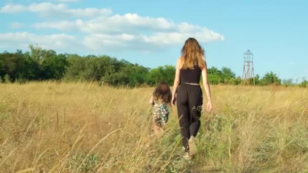 母と娘は夏の草の畑を走っています 幸せな母性と子供時代 — ストック動画
