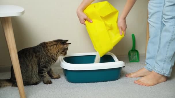 Seorang Wanita Menuangkan Bentonit Mengelompok Sampah Tanah Liat Toilet Kucing — Stok Video