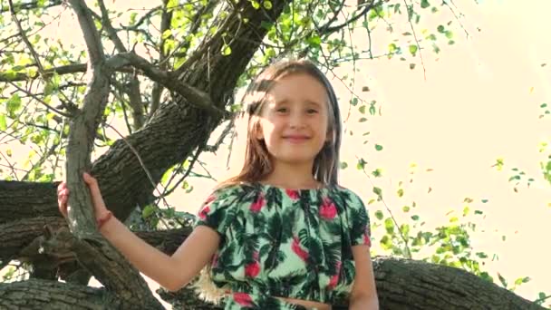 Bonita Menina Cinco Anos Sentada Uma Árvore Verão Natureza — Vídeo de Stock