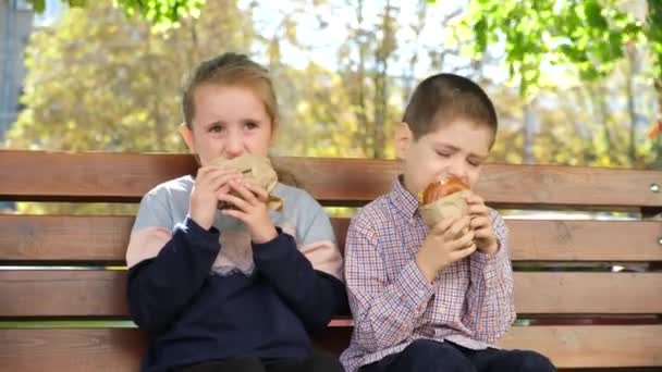 Małe Dzieci Chłopiec Dziewczyna Jedzą Hamburgery Uliczne Jedzenie Ławce Lecie — Wideo stockowe