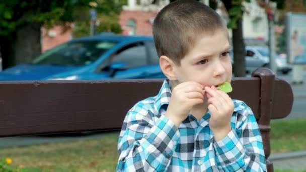 Little Boy Nibbles Lollipop Harm Hard Candies Childrens Teeth — Stock Video