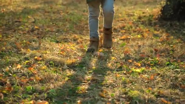 Malé Dítě Chodí Botách Podzimním Lesem Spadlých Žlutých Listech — Stock video