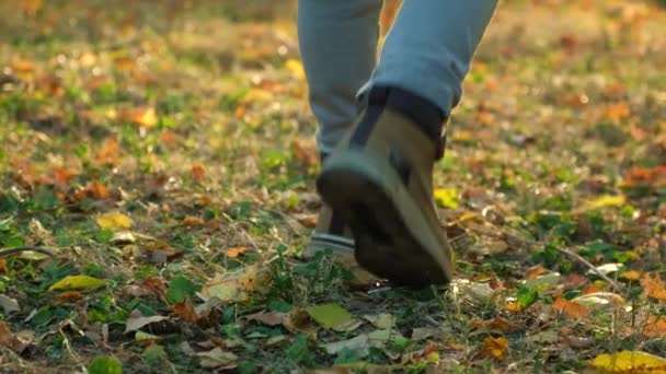 Małe Dziecko Chodzi Butach Przez Jesienny Las Opadłych Żółtych Liściach — Wideo stockowe
