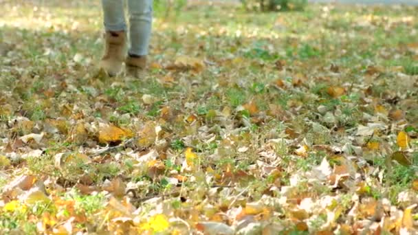 Uma Criança Pequena Correndo Floresta Outono Nas Folhas Sapatos Infantis — Vídeo de Stock
