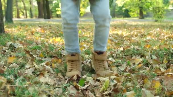 秋の葉にジャンプする小さな子供 ゆっくりとした動き — ストック動画