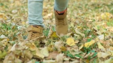 Küçük bir çocuk, sonbahar ormanında düşen sarı yaprakların üzerinde botlarıyla yürüyor..