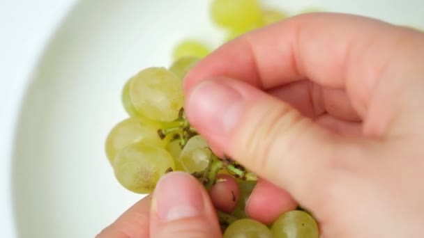 一个女人把葡萄放在盘子里 准备了一盘葡萄 — 图库视频影像