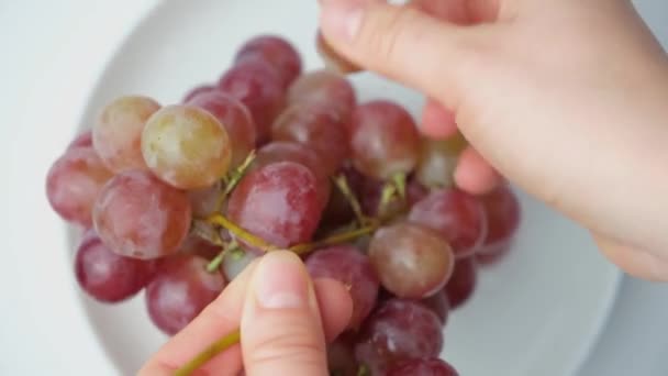 Woman Puts Grapes Plate Prepares Dish Grapes — Stock Video