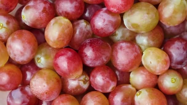 Różowe Słodkie Winogrona Bliska Widok Góry — Wideo stockowe