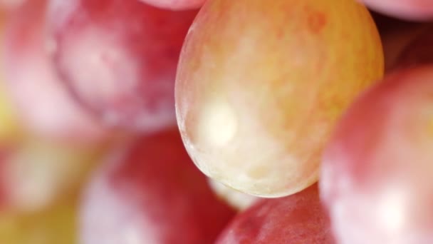 Różowe Słodkie Winogrona Bliska Widok Góry Pionowa Sesja — Wideo stockowe