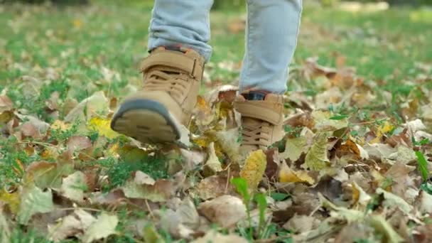 小さな子供が落ちた黄色い葉の上の秋の森を通ってブーツを歩いています — ストック動画