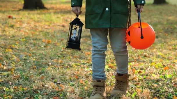 Chłopiec Spaceruje Jesiennym Lesie Wiadrem Dyni Halloween Latarnią — Wideo stockowe
