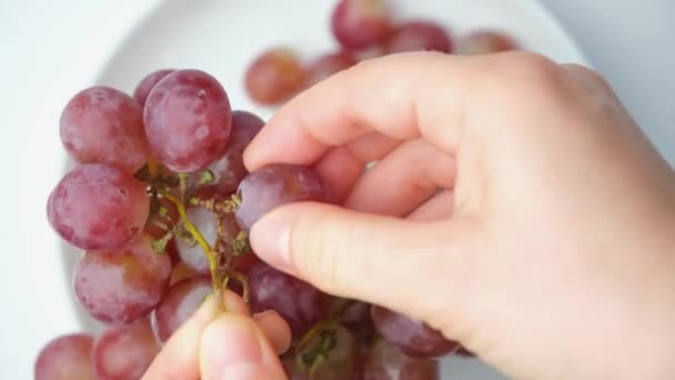 Kobieta Kładzie Winogrona Talerzu Przygotowuje Danie Winogron — Wideo stockowe