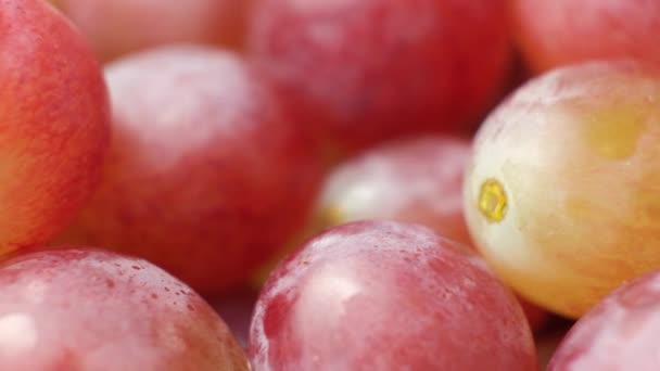 Różowe Słodkie Winogrona Bliska Widok Góry — Wideo stockowe