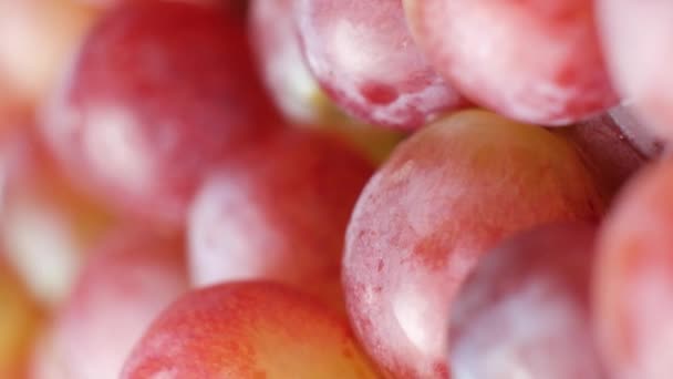 Różowe Słodkie Winogrona Bliska Widok Góry Pionowa Sesja — Wideo stockowe