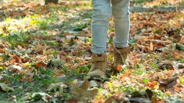 小さな子供が落ちた黄色い葉の上の秋の森を通ってブーツを歩いています — ストック動画