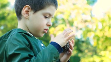 Küçük çocuk sonbaharda parkta çam kozalağıyla oynuyor, pulları sayıyor..