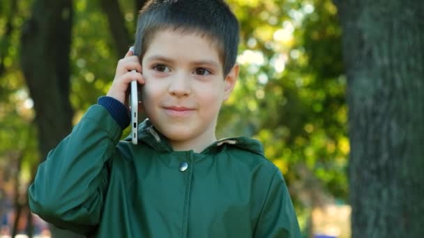 Красивый Летний Мальчик Разговаривает Телефону Стоя Парке Осенью — стоковое видео
