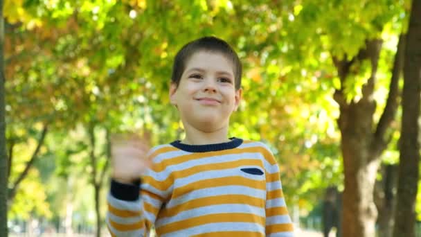 かわいい6歳の少年が秋の公園に立っている間に手を振った 子どもの挨拶 — ストック動画