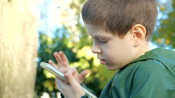 秋に公園で自然の中で座っている間 スマートフォンを使った6歳の少年 — ストック動画