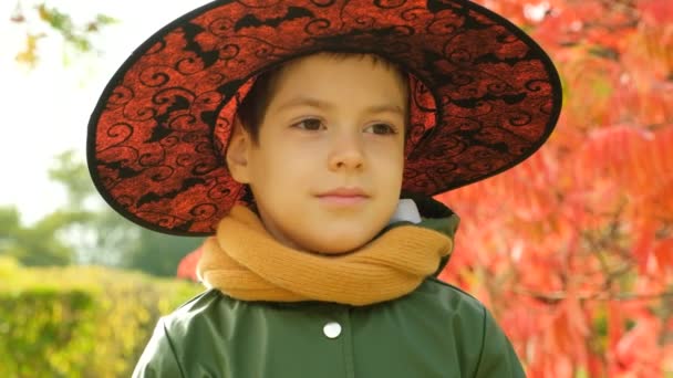 Портрет Летнего Мальчика Хэллоуин Шляпе Ведьмы Осеннем Парке — стоковое видео