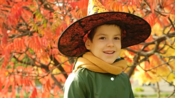 Porträtt Åriga Halloween Pojke Bär Häxa Hatt Höstparken — Stockvideo