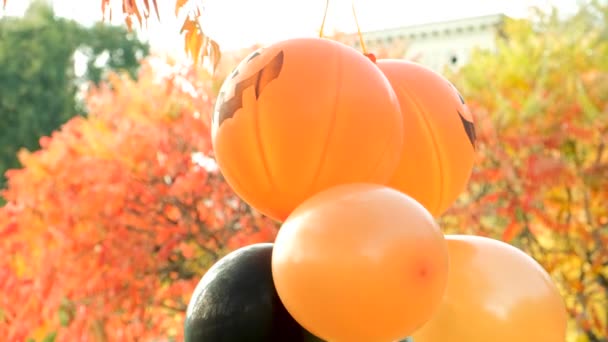 Απόκριες Μπαλόνια Κολοκύθας Πορτοκαλί Και Μαύρο Στο Πάρκο Φθινόπωρο — Αρχείο Βίντεο