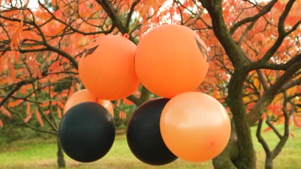 万圣节南瓜气球 秋天公园里的橙色和黑色 — 图库视频影像