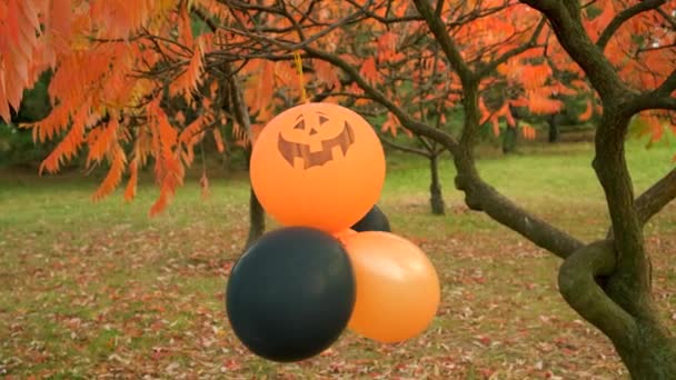 Απόκριες Μπαλόνια Κολοκύθας Πορτοκαλί Και Μαύρο Στο Πάρκο Φθινόπωρο — Αρχείο Βίντεο