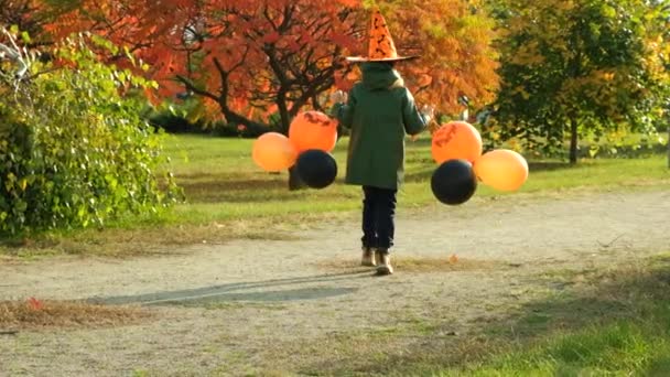 Chłopiec Spaceruje Jesiennym Parku Balonami Dyni Halloween — Wideo stockowe