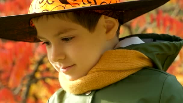 Портрет Летнего Мальчика Хэллоуин Шляпе Ведьмы Осеннем Парке — стоковое видео
