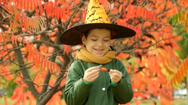 Щасливий Хеллоуїн Маленький Хлопчик Відкриває Цукерки Відкритому Повітрі — стокове відео