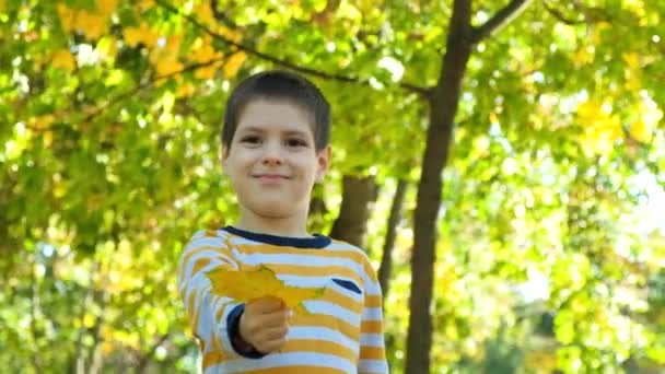 Маленький Красивый Мальчик Жёлтым Кленовым Листом Теплая Красочная Осень — стоковое видео