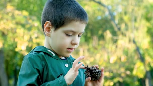 Kisfiú Játszik Egy Fenyőtobozzal Parkban Ősszel Mérleg Számolás — Stock videók