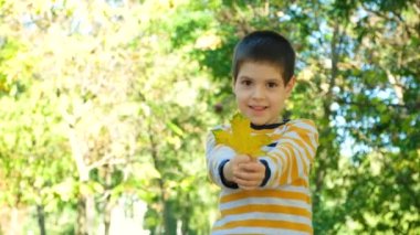 Sarı akçaağaç yaprağı tutan küçük yakışıklı çocuk. Sıcak Renkli Sonbahar